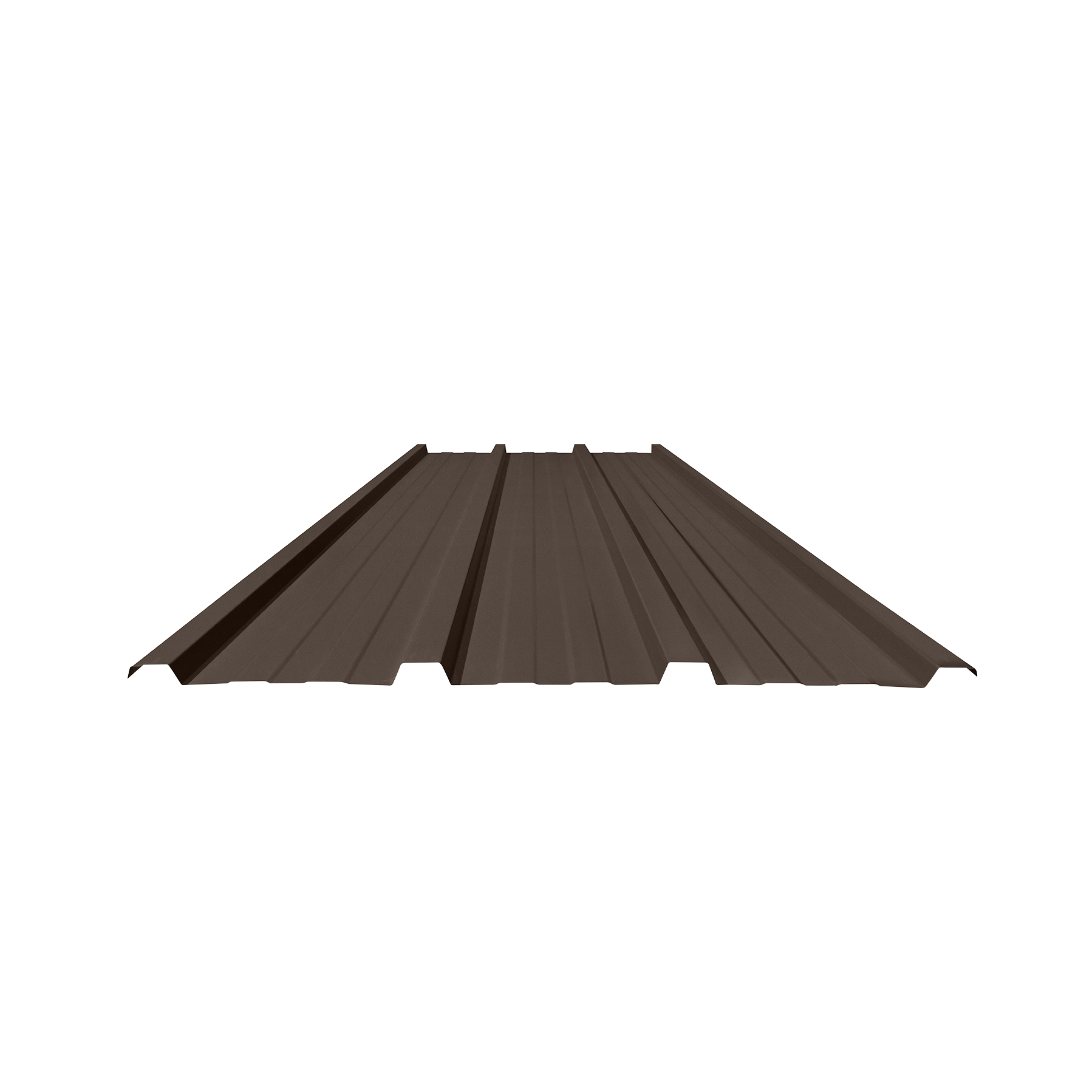840_2M_bruin.jpg